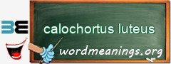 WordMeaning blackboard for calochortus luteus